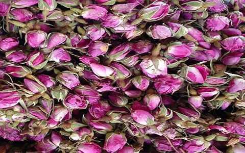 تصویر 1 از قیمت غنچه گل محمدی کاشان با کیفیت ارزان + خرید عمده